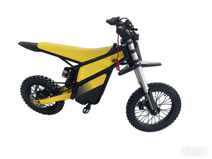 HP-V1  ECO-FRIENDLY Electric Dirt Bikes for Teenagers